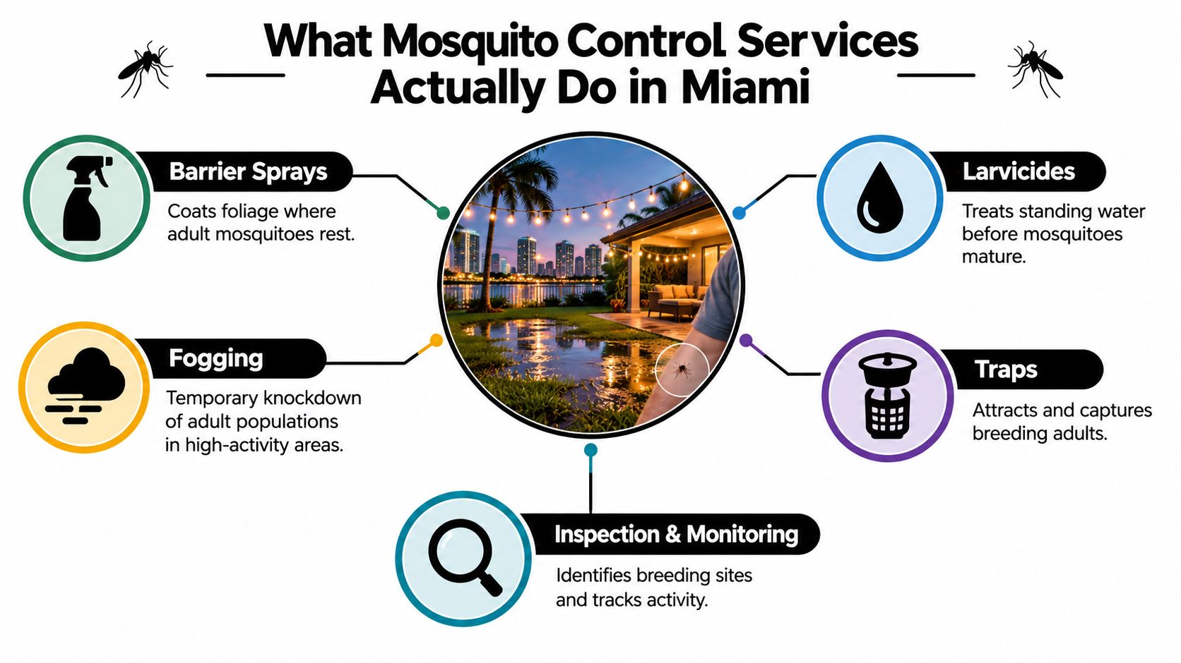 An infographic detailing five common mosquito control services used in Miami to reduce mosquito populations.