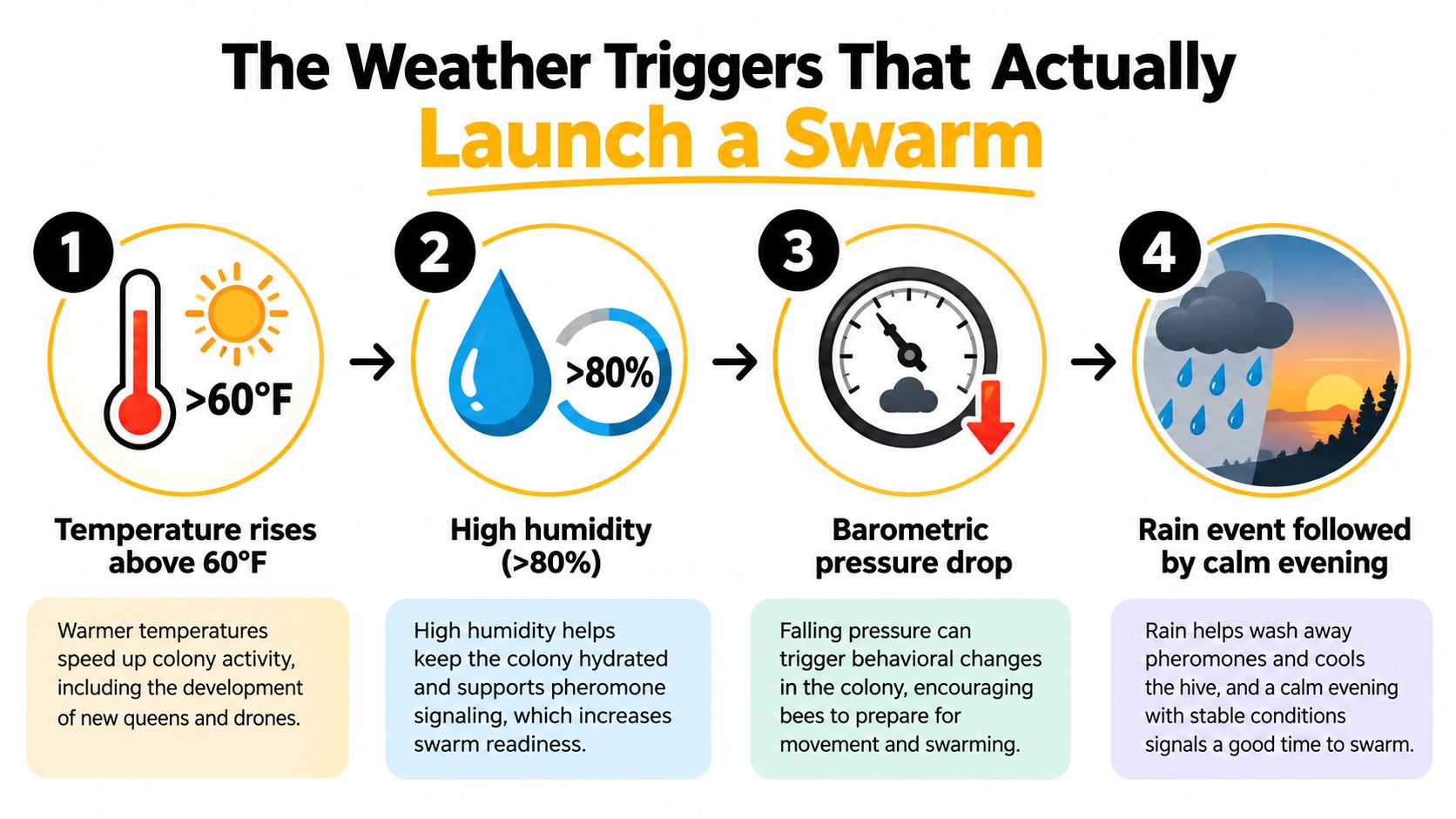 A four-step infographic illustrating the specific weather conditions like temperature, humidity, and barometric pressure that trigger bee swarming.
