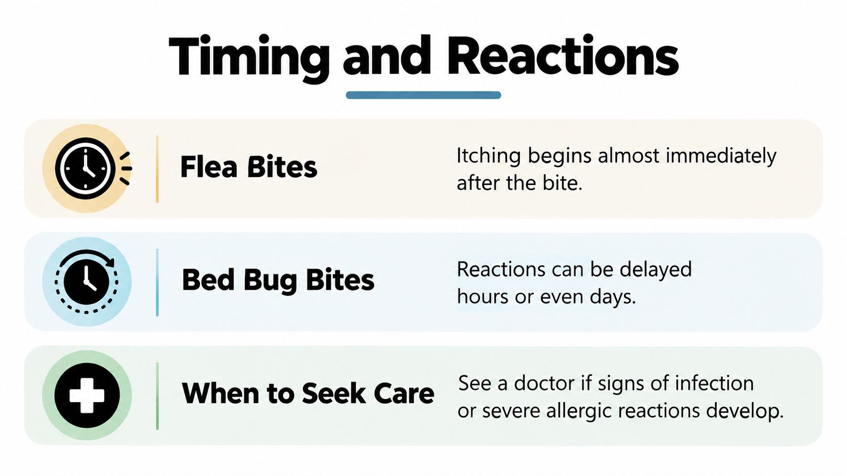 An infographic titled Timing and Reactions comparing the immediate itching of flea bites to delayed bed bug bites.