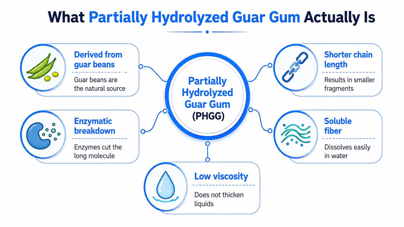 An infographic titled What Partially Hydrolyzed Guar Gum Actually Is, illustrating its natural source and properties.