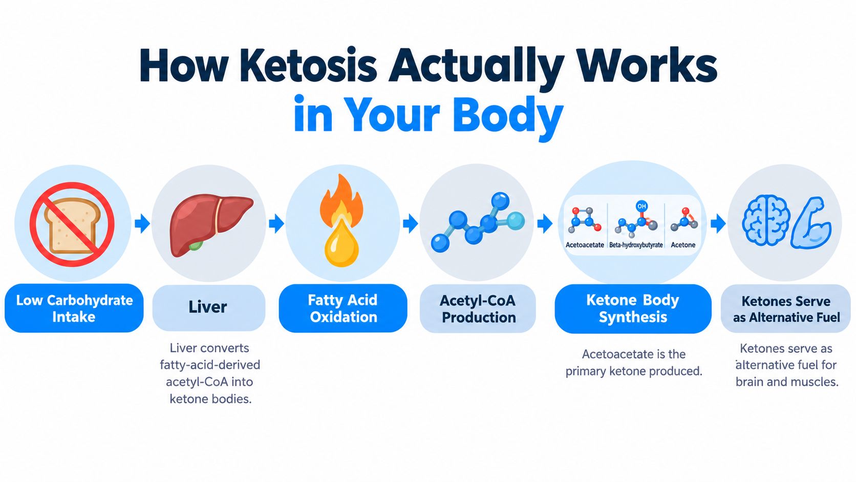 A flowchart diagram explaining the biological process of how the body achieves ketosis through low carbohydrate intake.