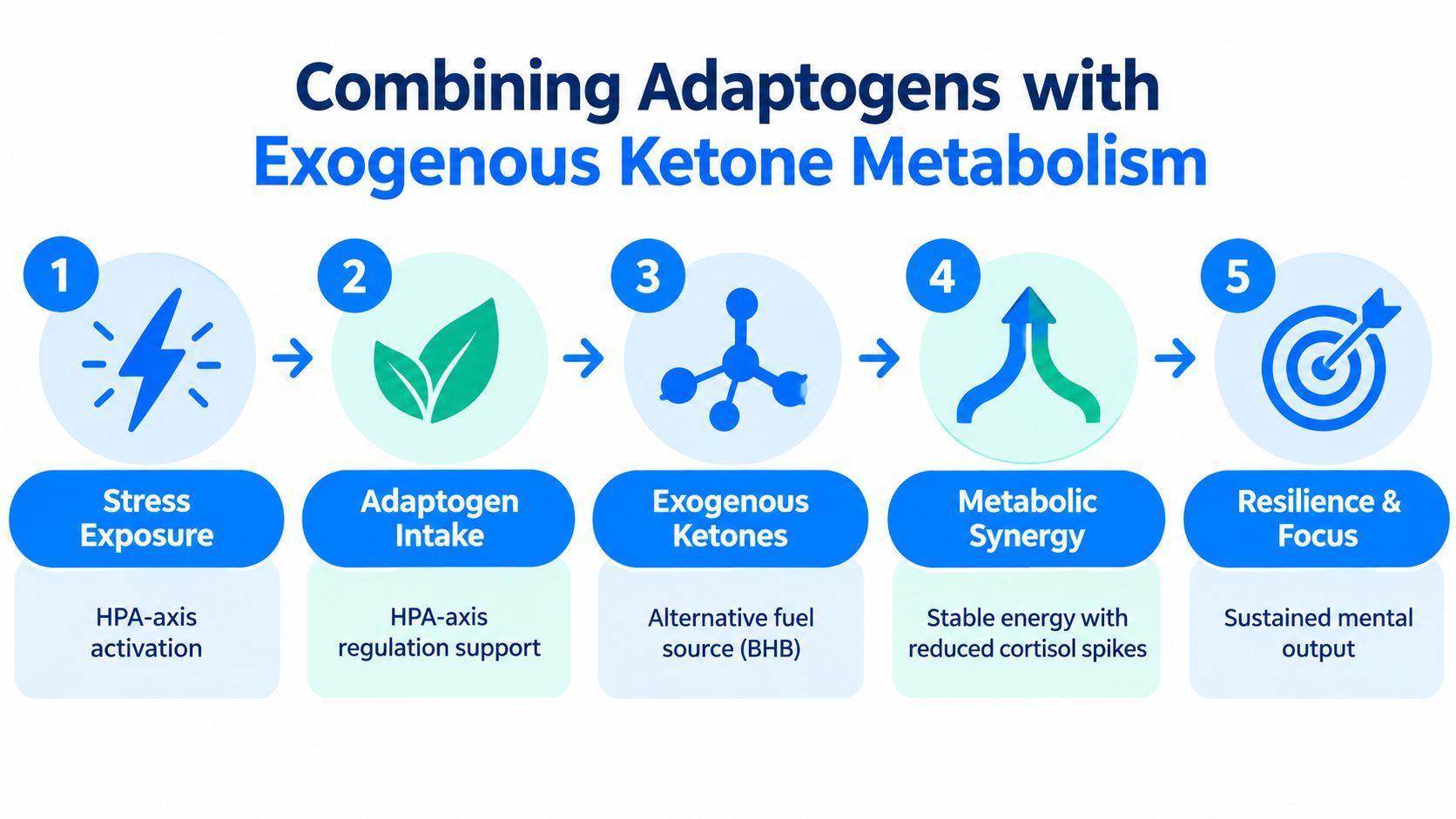 A five-step infographic showing the process of combining adaptogens and exogenous ketones for improved mental focus.