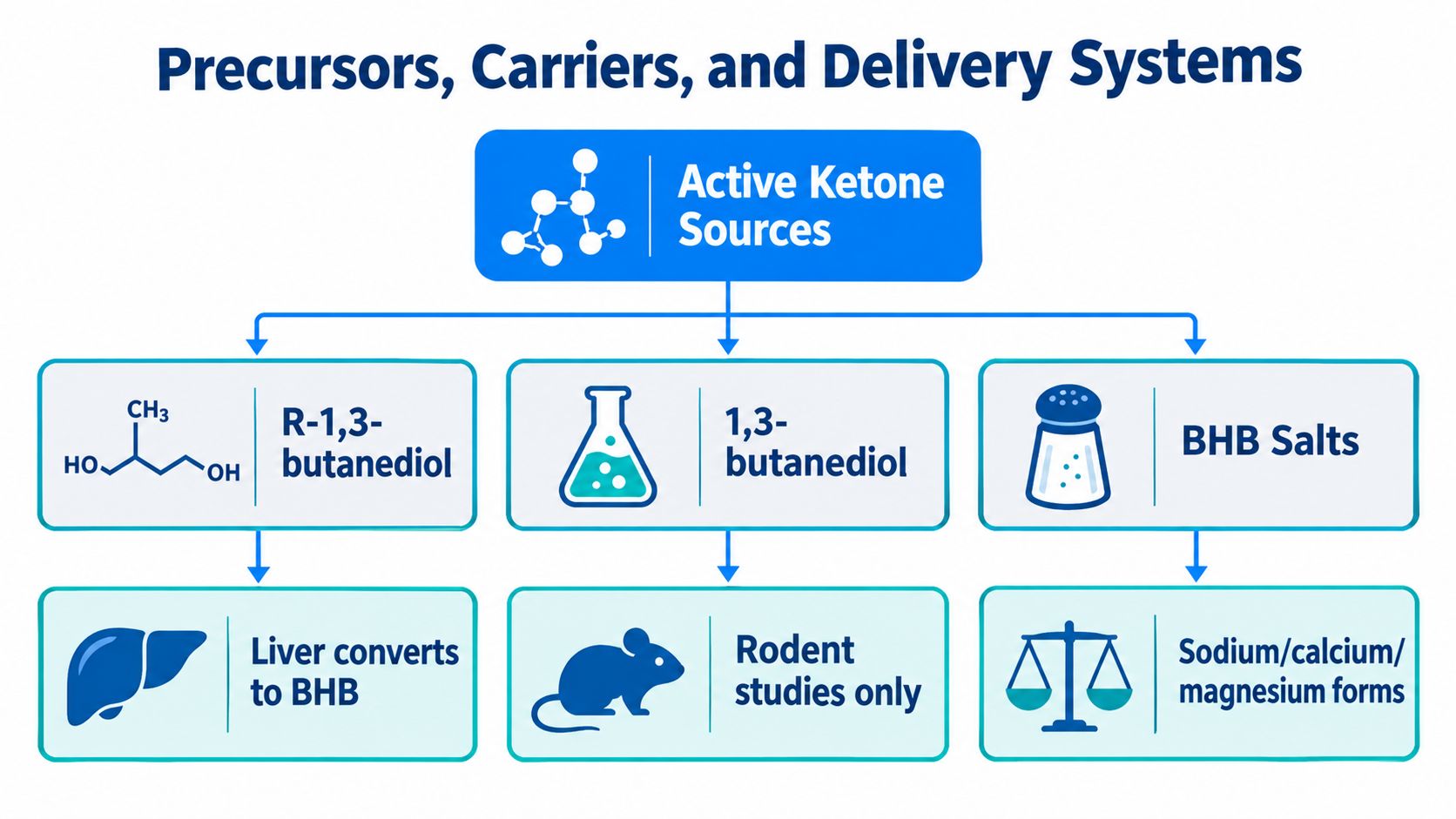A diagram illustrating precursors, carriers, and delivery systems for active ketone sources including butanediol and BHB salts.