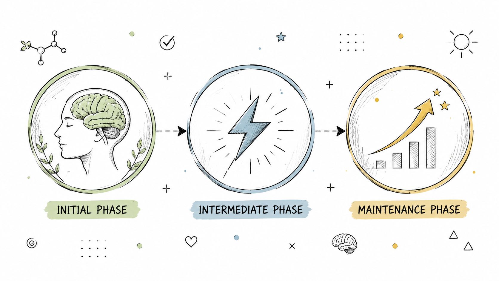 A diagram depicting the three phases of traumatic brain injury nutrition: initial, intermediate, and maintenance phases.