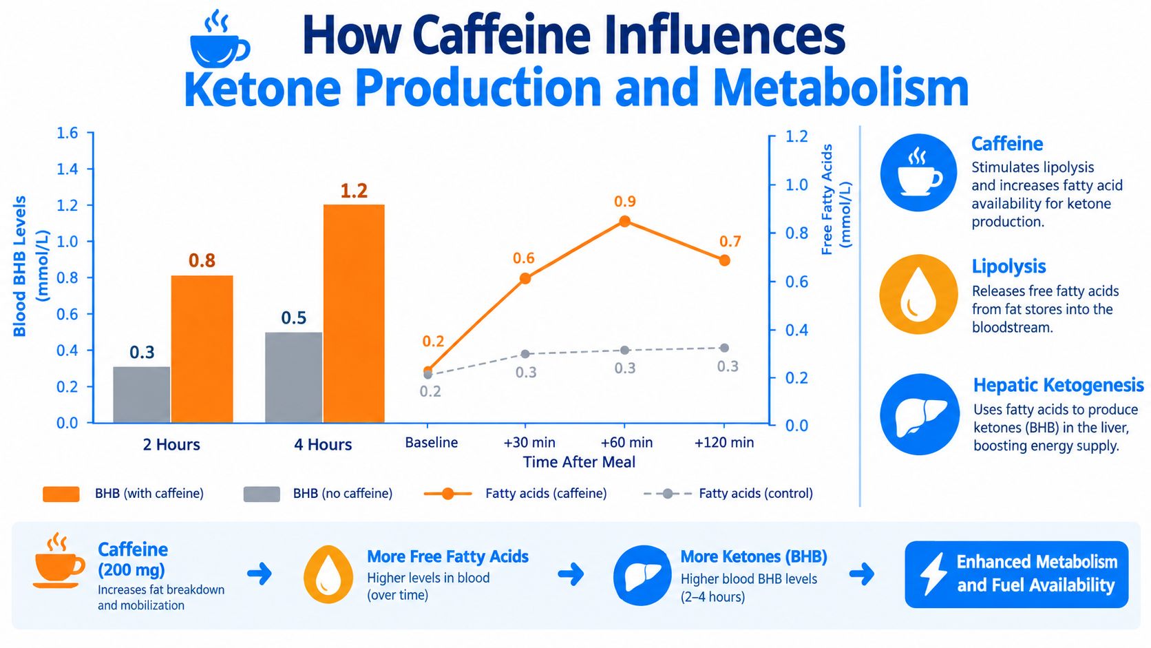 A chart illustrating how 200mg of caffeine boosts ketone production by increasing free fatty acid levels in blood.