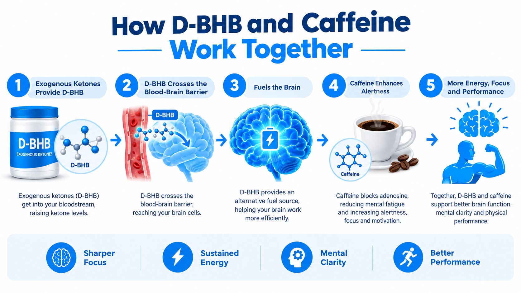 An infographic illustrating how D-BHB exogenous ketones and caffeine combine to enhance brain function and performance.