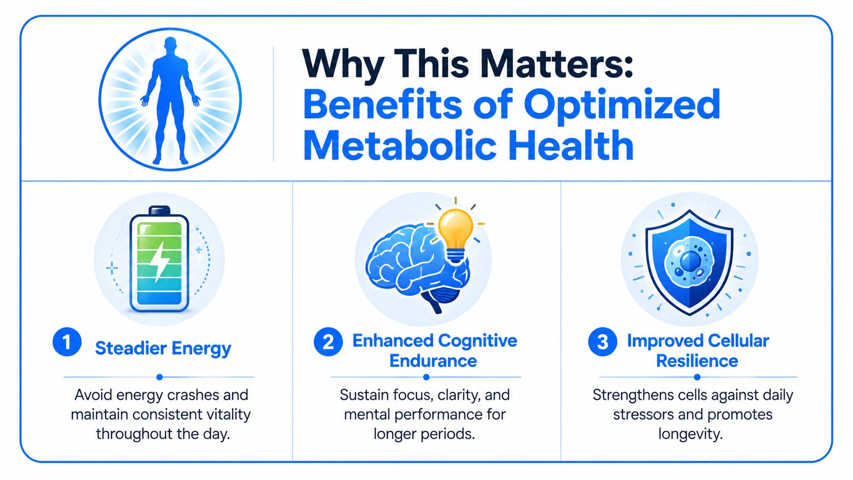 An infographic highlighting the three key benefits of optimized metabolic health: steadier energy, enhanced cognitive endurance, and improved cellular resilience.