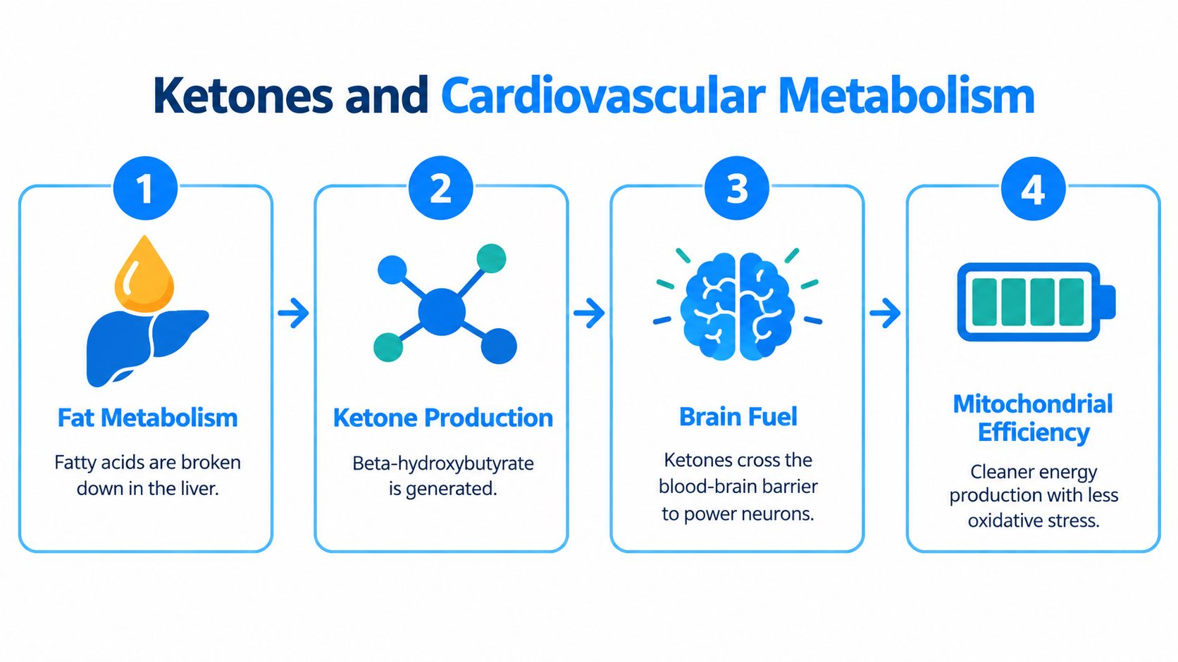 A four-step infographic explaining how fat metabolism leads to ketogenesis and improved mitochondrial energy efficiency.