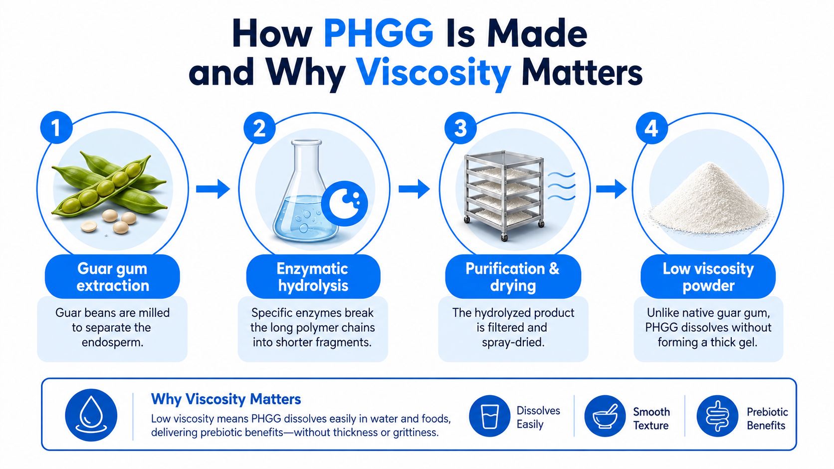 An infographic showing the four-step manufacturing process of partially hydrolyzed guar gum (PHGG) from beans to powder.
