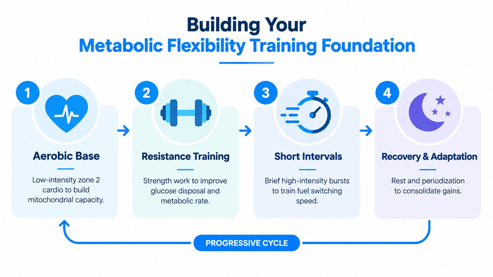An infographic titled Building Your Metabolic Flexibility Training Foundation showing a four-step cycle for fitness improvement.