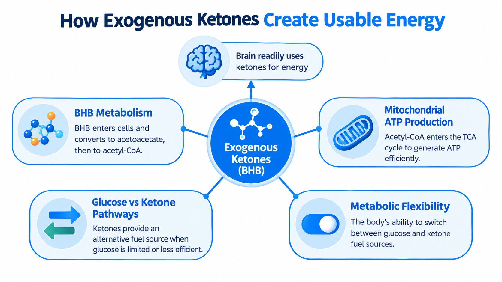 A diagram illustrating how exogenous ketones or BHB create energy through various metabolic pathways and cellular processes.