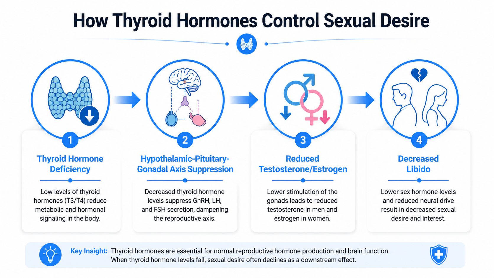 A four-step infographic illustrating how thyroid hormone deficiency leads to reduced testosterone or estrogen and decreased libido.