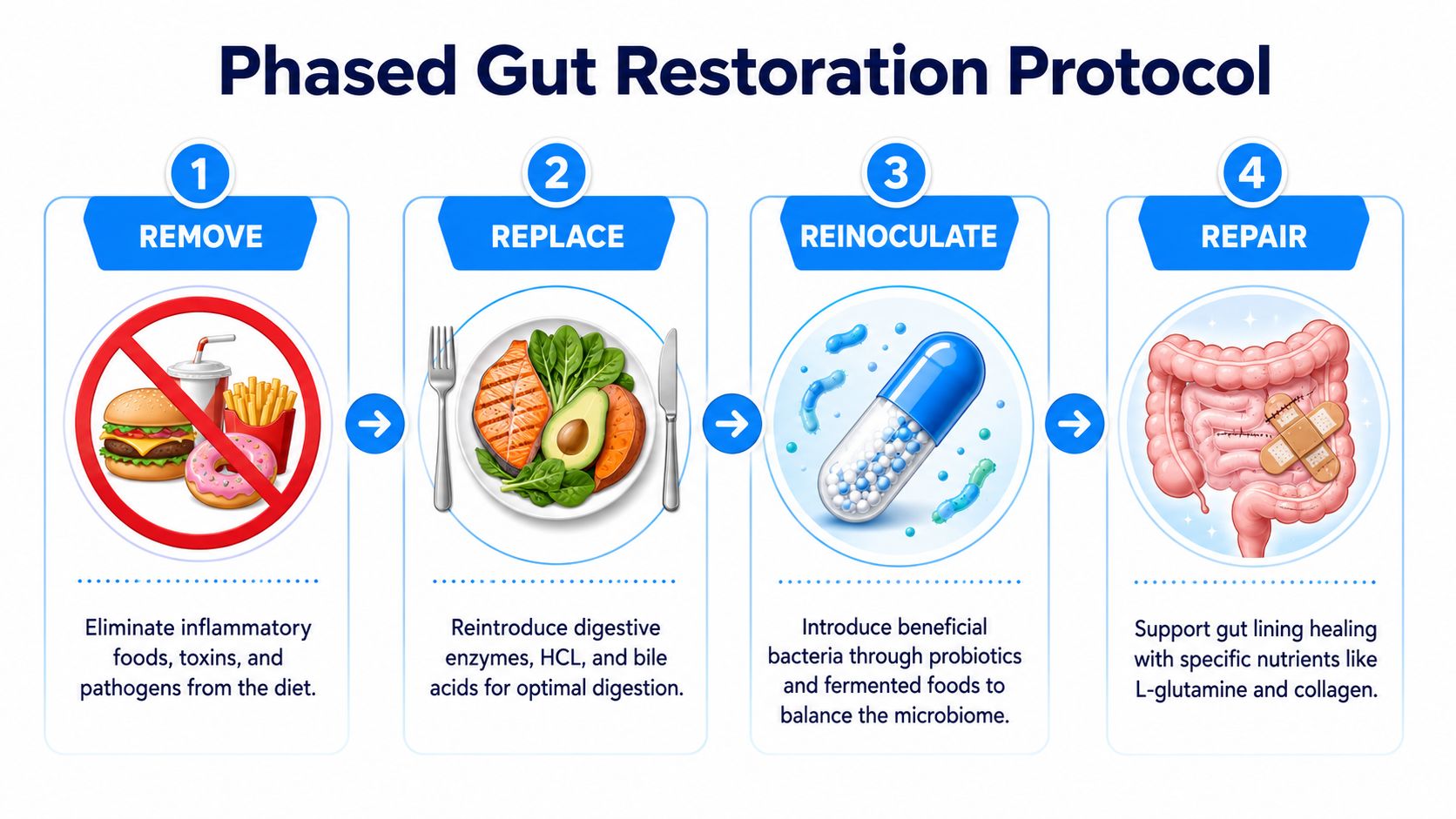 A four-step infographic illustrating a phased gut restoration protocol, covering removal, replacement, reinoculation, and repair steps.