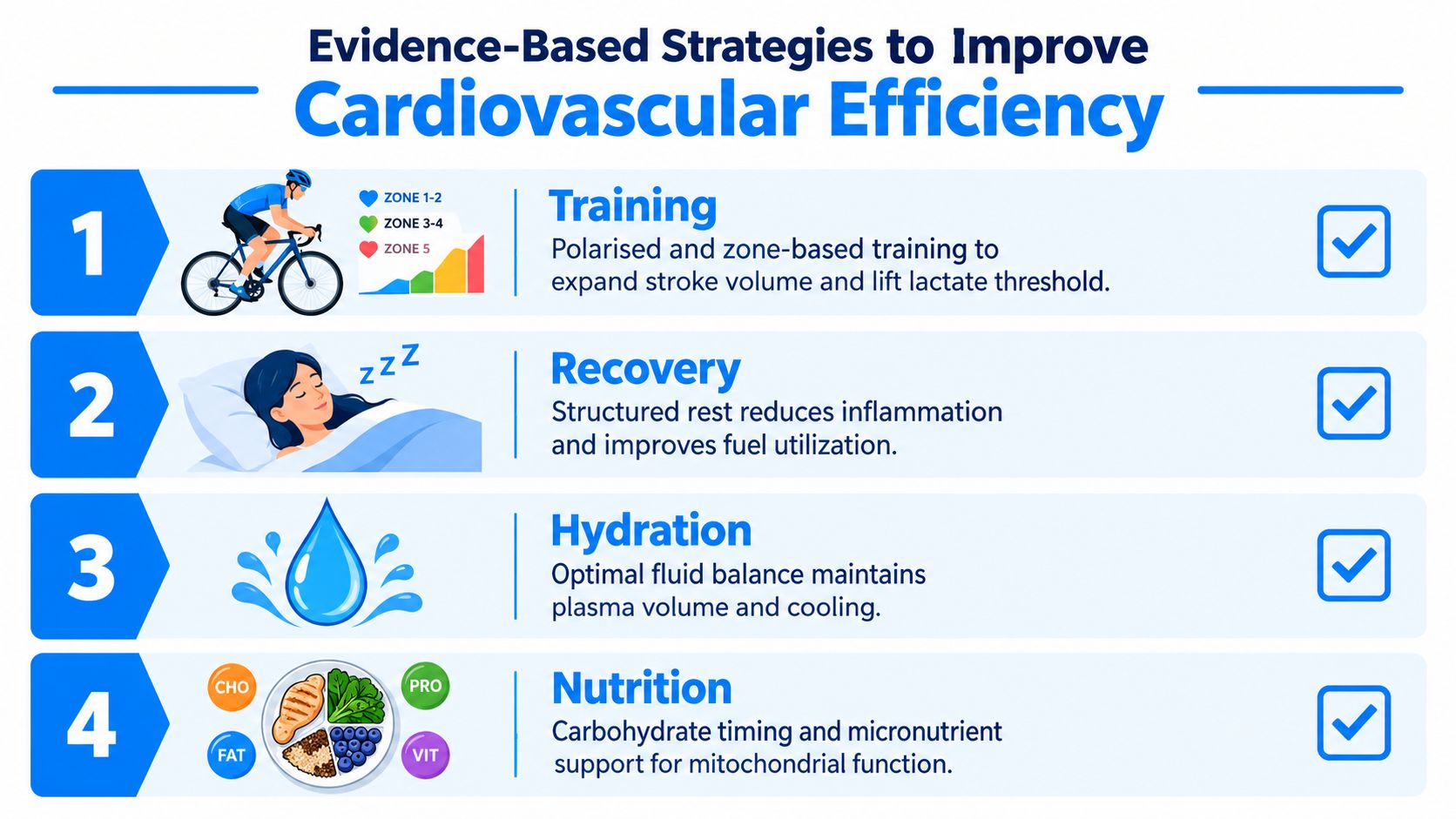 An infographic showing four evidence-based strategies for improving cardiovascular efficiency including training, recovery, hydration, and proper nutrition.