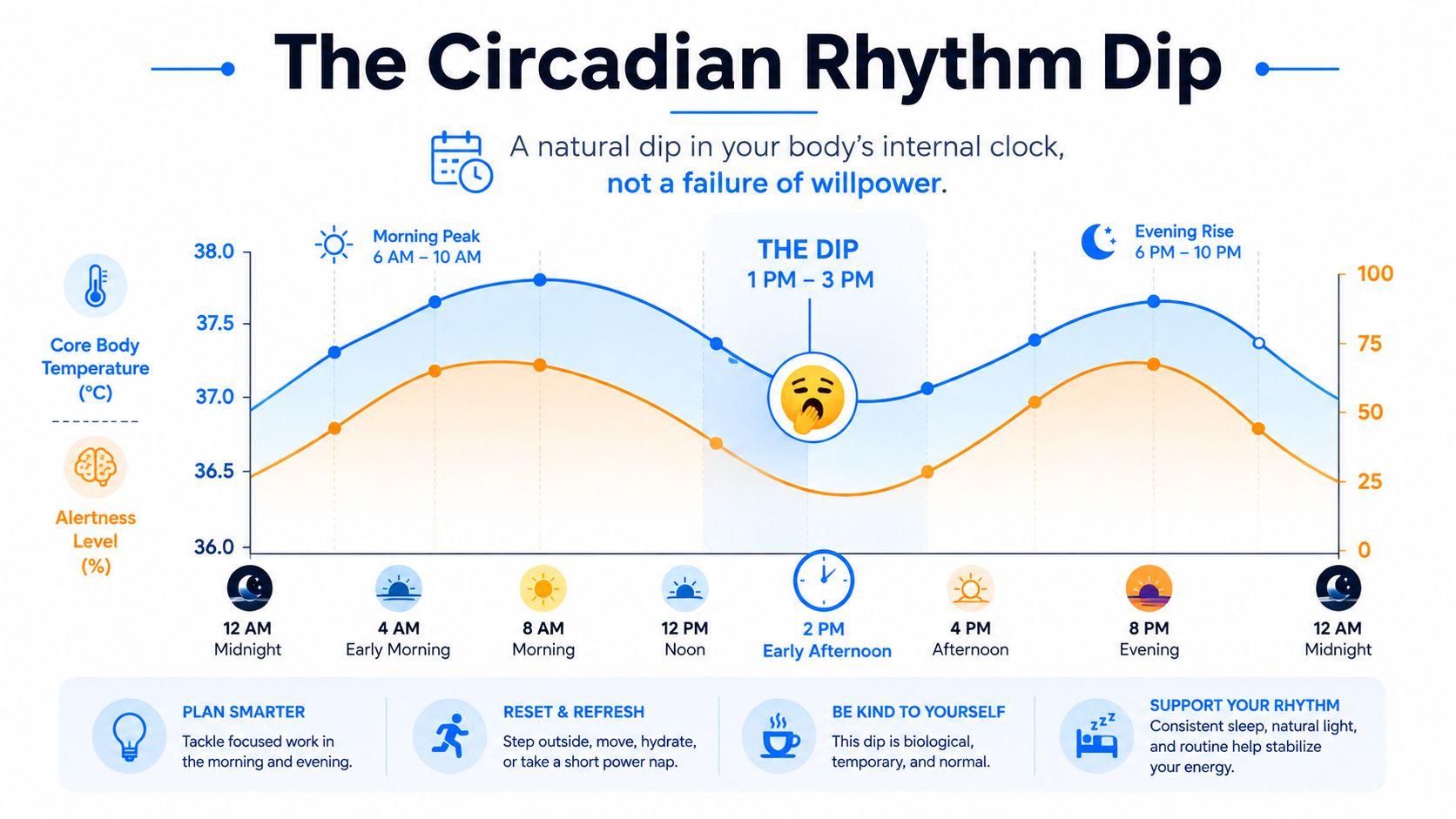 A line graph explaining the natural circadian rhythm dip occurring in the early afternoon, featuring advice on managing energy.
