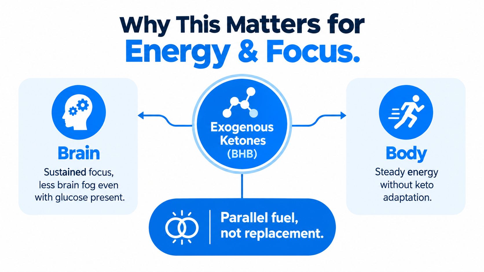An infographic illustrating how exogenous ketones (BHB) provide parallel fuel for improved brain focus and body energy.