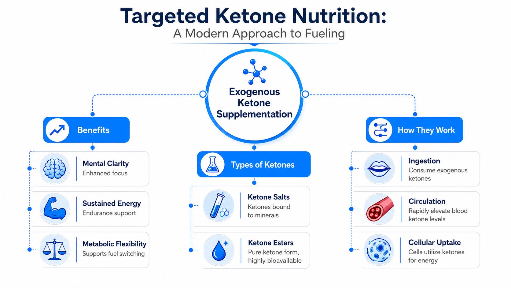 An infographic diagram explaining the benefits, types, and metabolic processes of exogenous ketone supplementation.