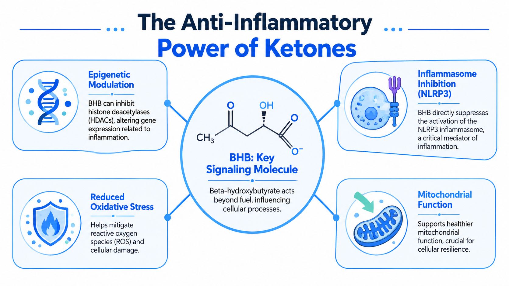 A diagram illustrating the anti-inflammatory effects of the ketone molecule beta-hydroxybutyrate on various cellular processes.