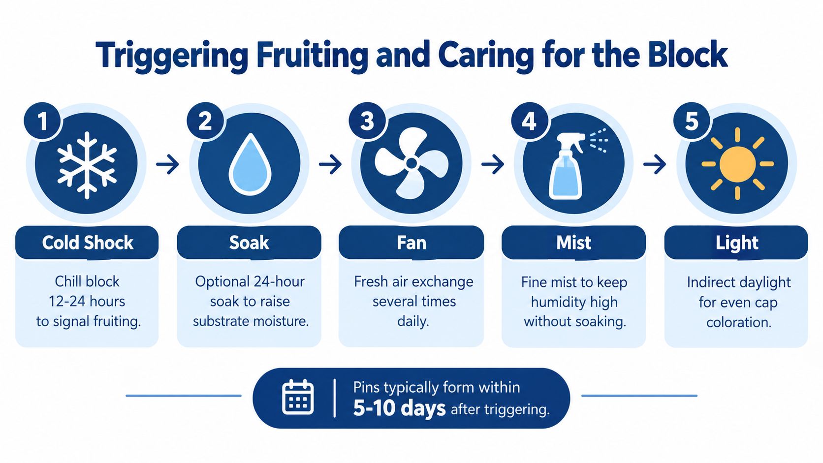 An infographic showing five steps to trigger fruiting and care for a mushroom grow kit.