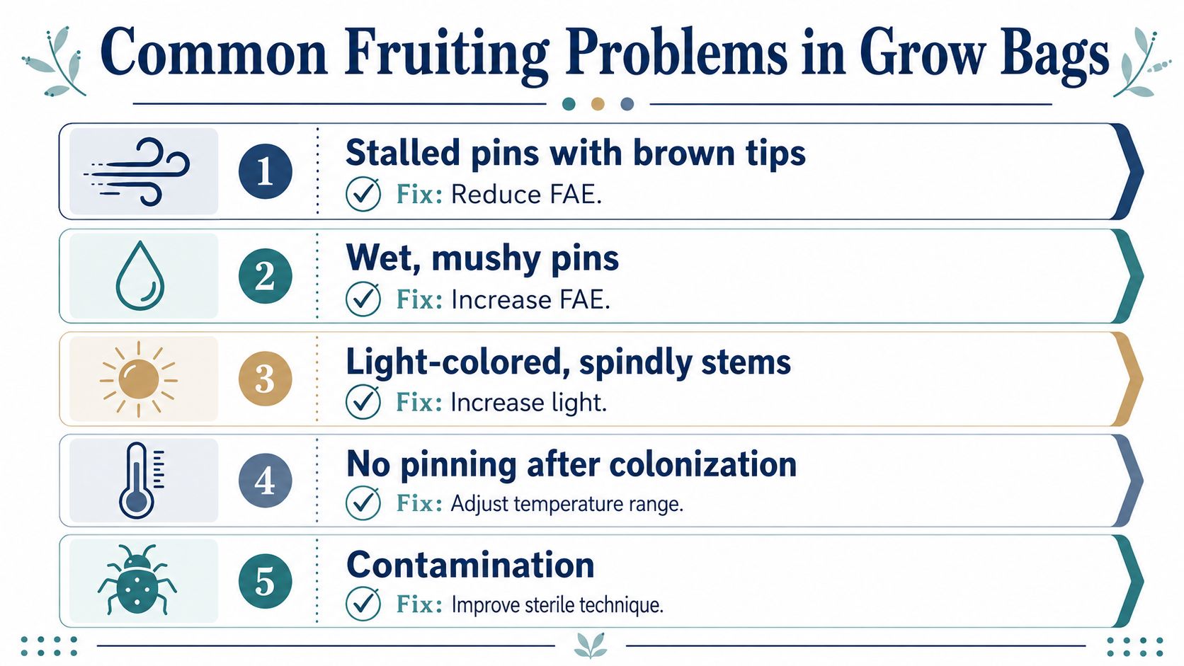 An educational infographic outlining five common mushroom fruiting problems in grow bags and their respective solutions.