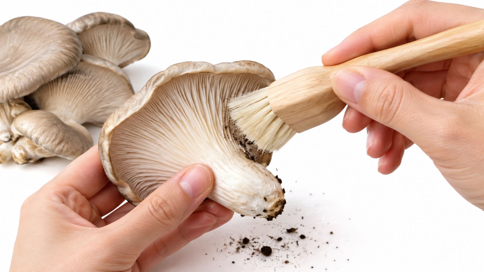 A pair of hands using a soft wooden brush to gently clean dirt from oyster mushrooms