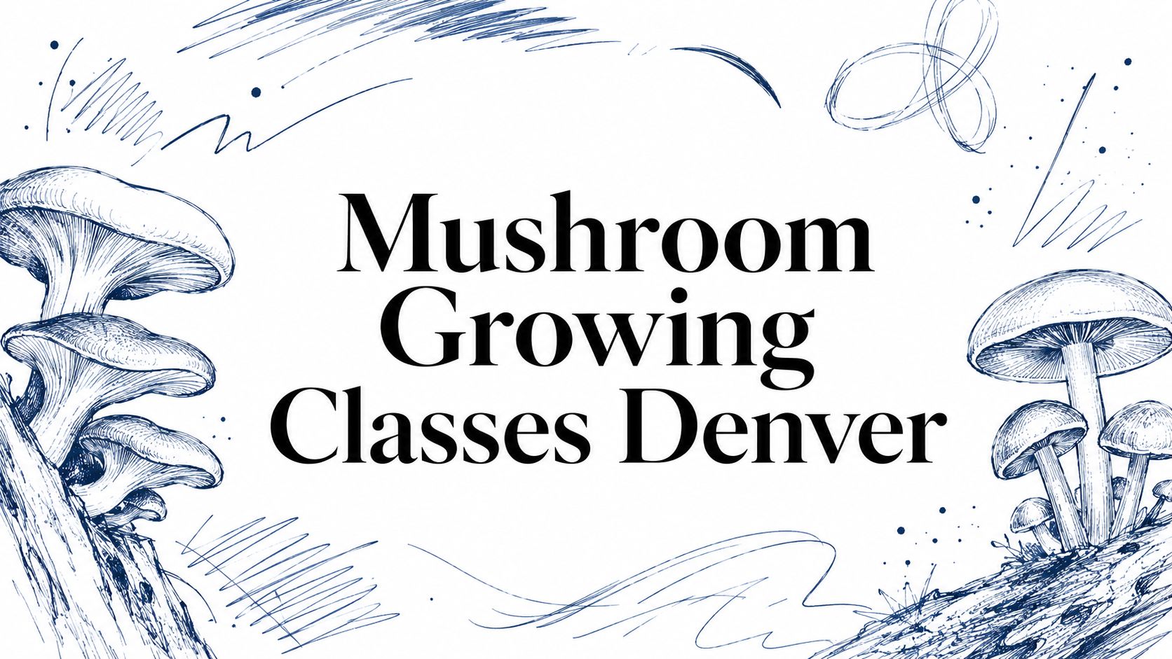 Mushroom Growing Classes Denver