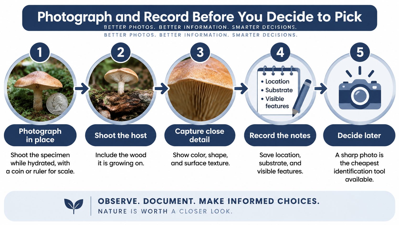 An infographic illustrating five steps for photographing and documenting wild mushrooms before harvesting them.