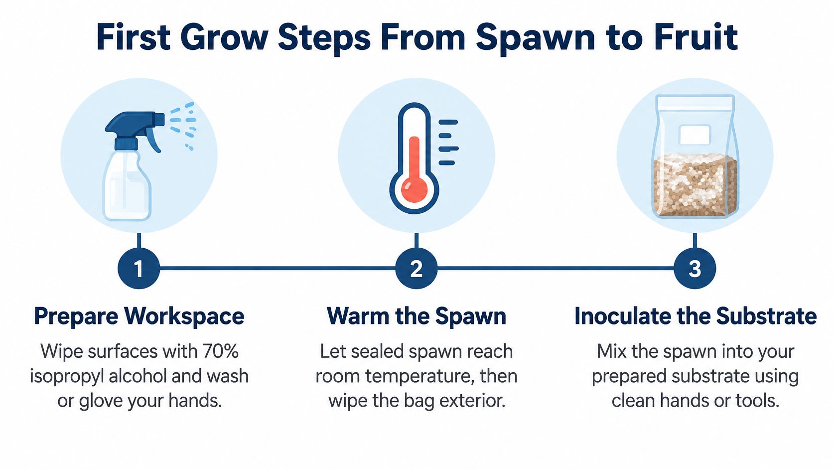 A three-step infographic showing how to prepare mushroom spawn for the growing process at home.