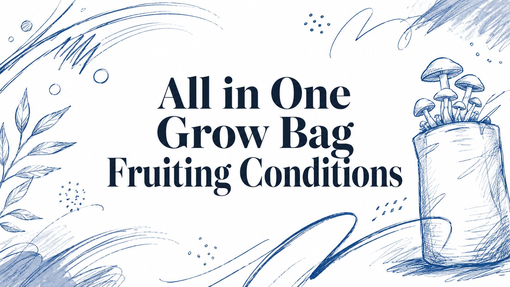 All in One Grow Bag Fruiting Conditions