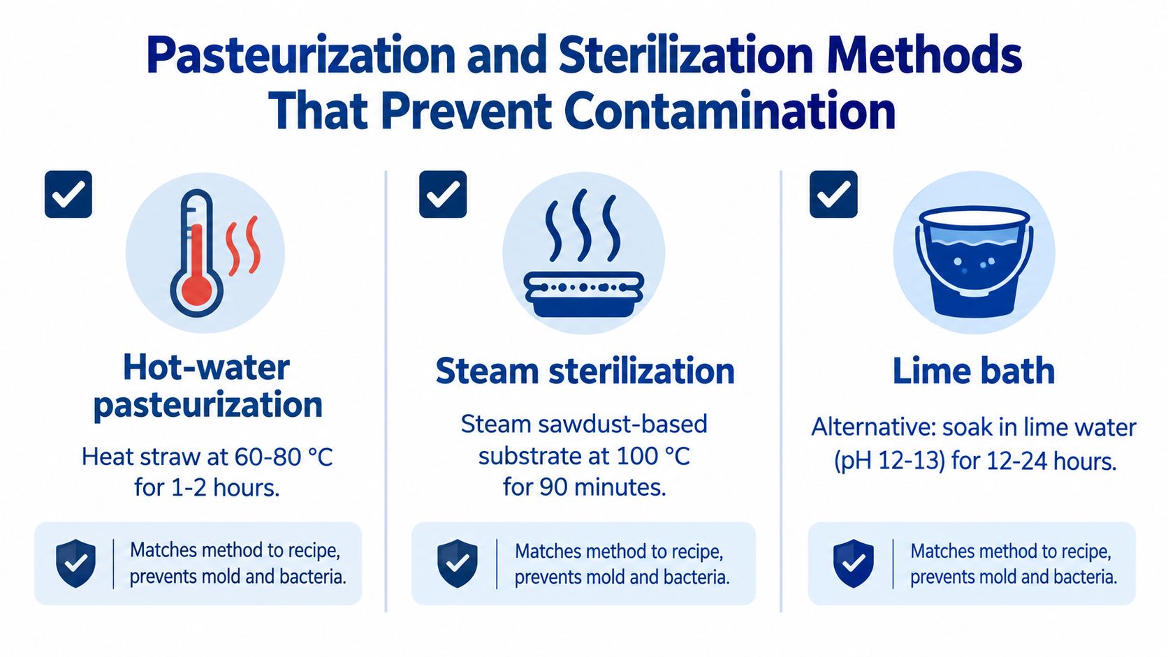 An infographic showing three methods for pasteurizing and sterilizing oyster mushroom substrate to prevent contamination.