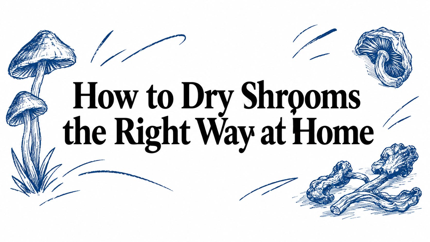 How to Dry Shrooms the Right Way at Home