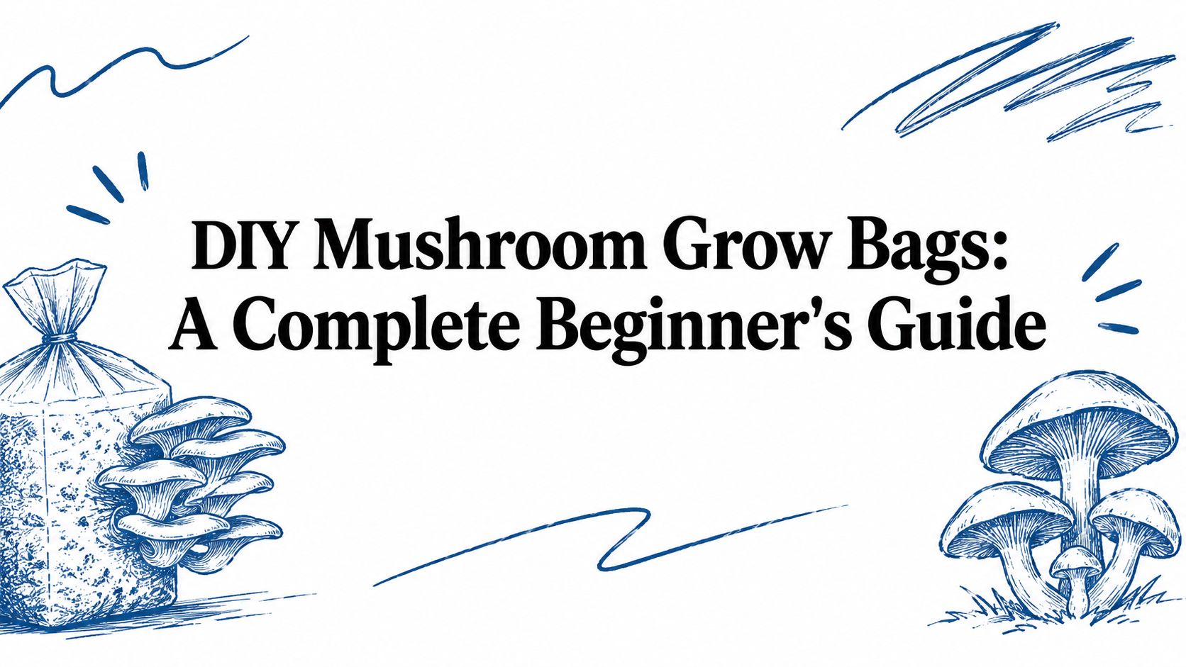 DIY Mushroom Grow Bags: A Complete Beginner's Guide