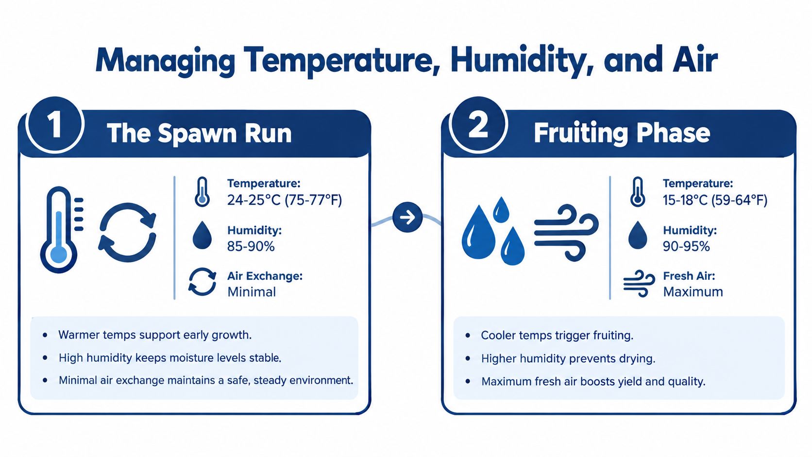 A diagram comparing mushroom growth stages, detailing temperature, humidity, and airflow for spawn run and fruiting.