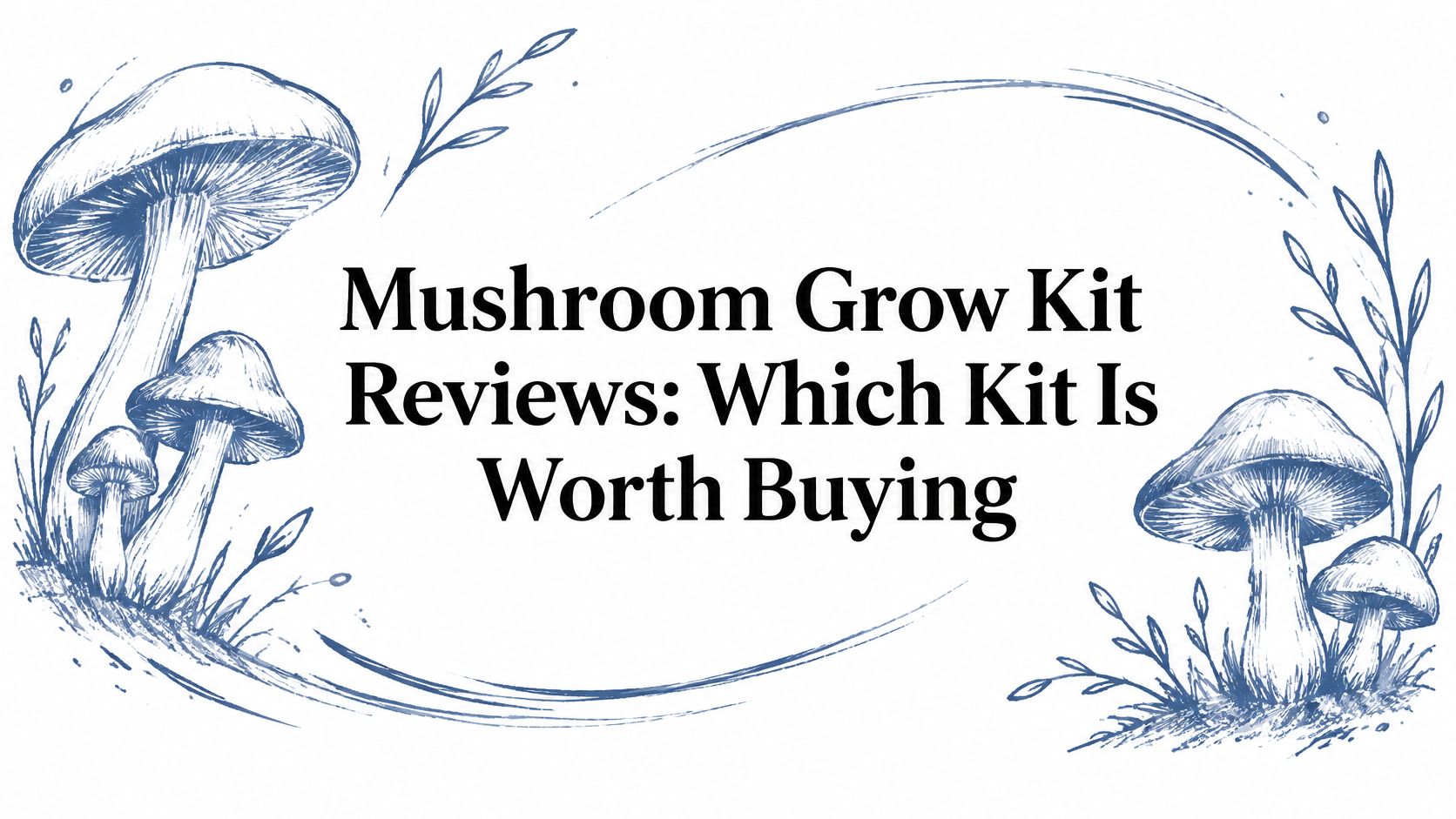Mushroom Grow Kit Reviews: Which Kit Is Worth Buying