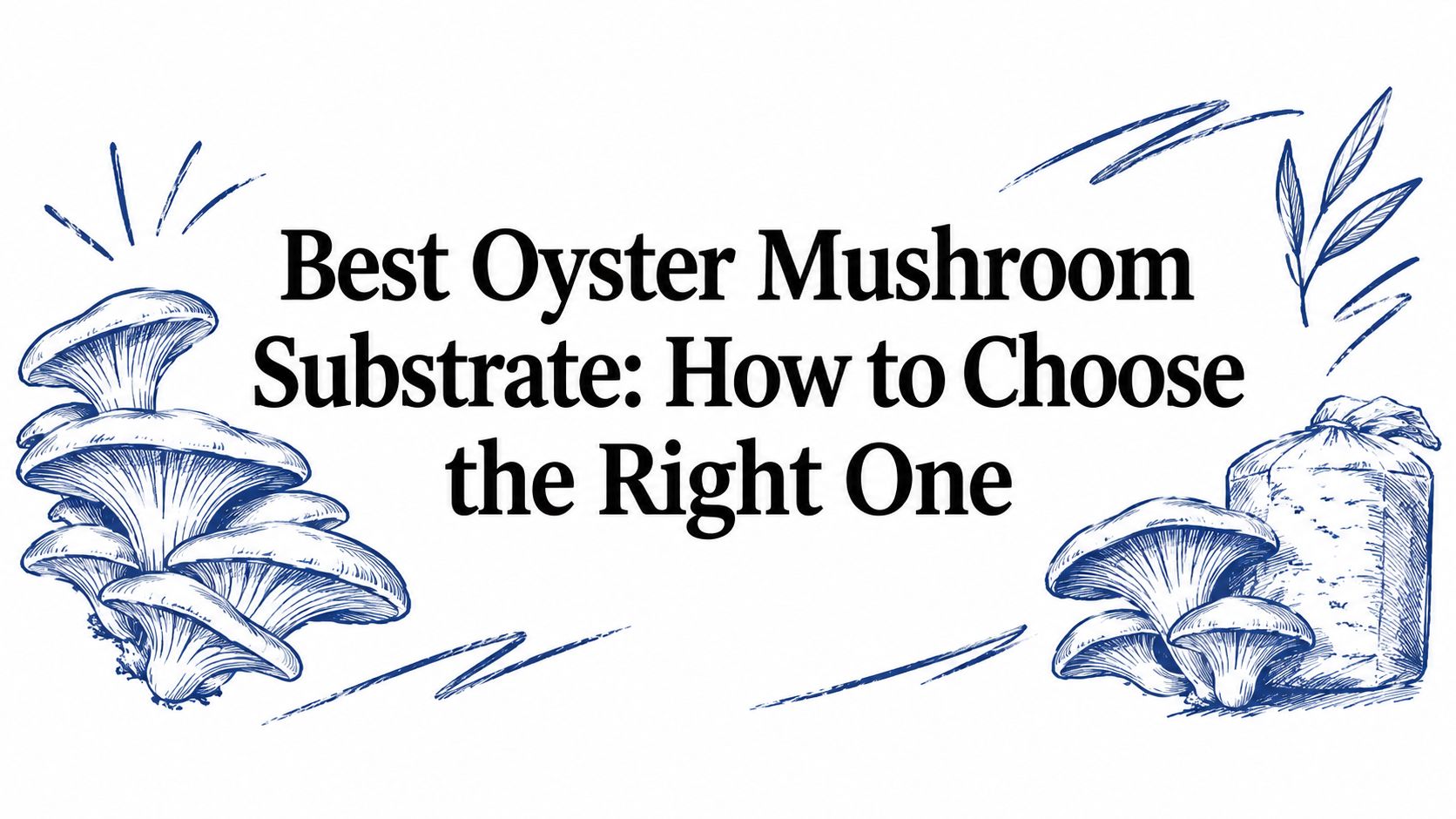 Best Oyster Mushroom Substrate: How to Choose the Right One