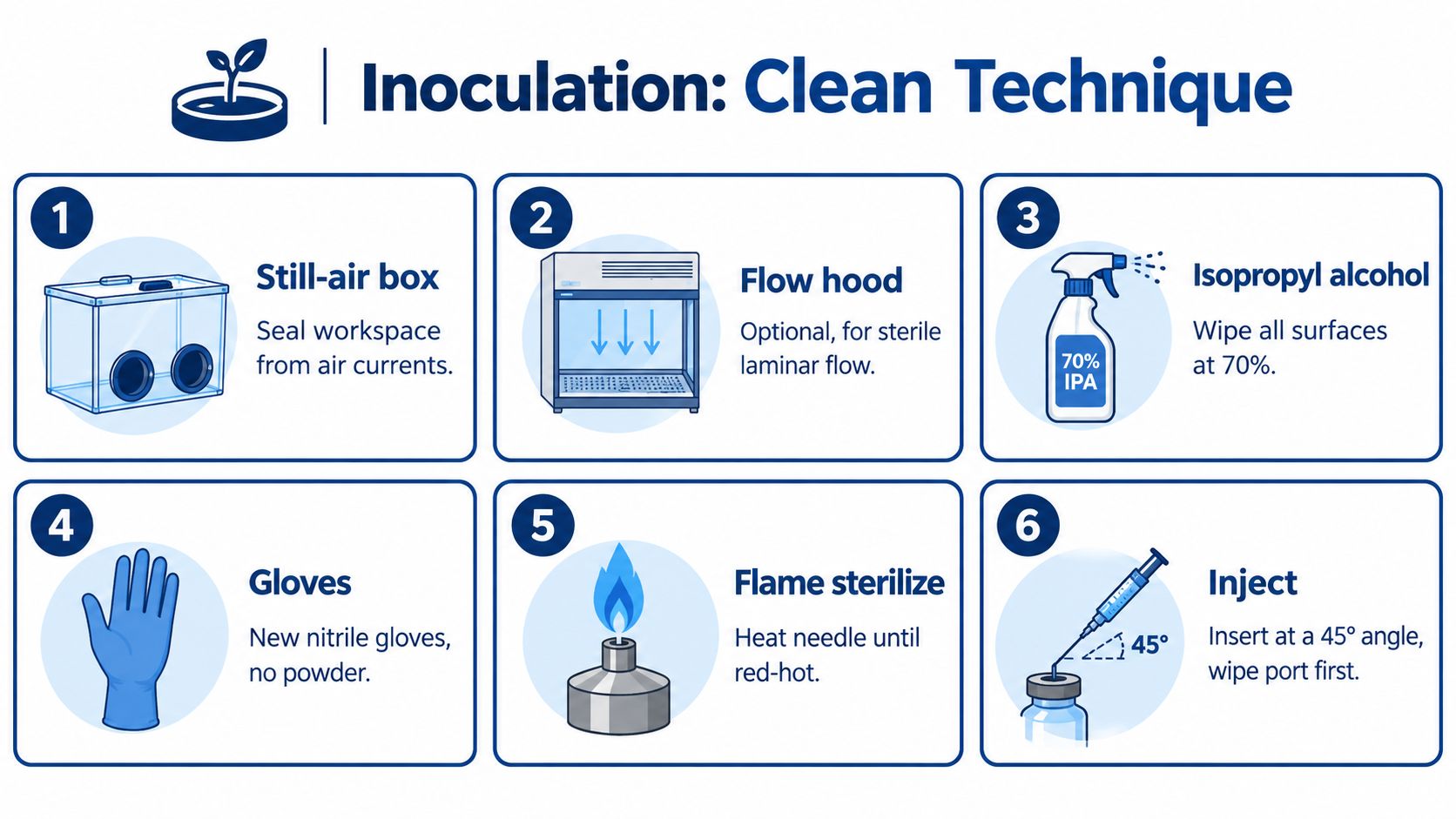 A six-step infographic illustrating clean inoculation techniques for mushroom cultivation using sterile procedures and tools.