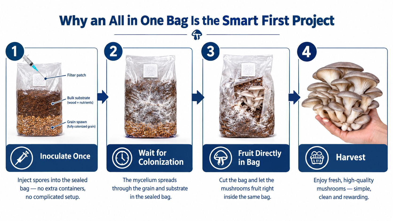 A four-step infographic showing how to grow mushrooms using a convenient all in one grow bag.