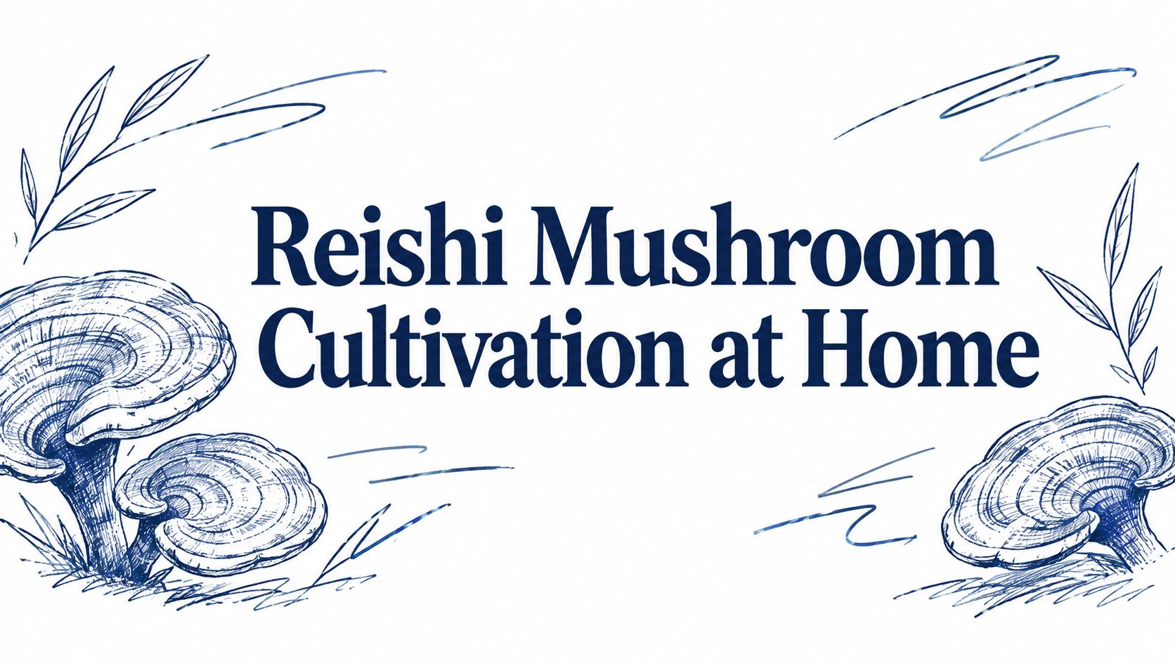 Reishi Mushroom Cultivation at Home