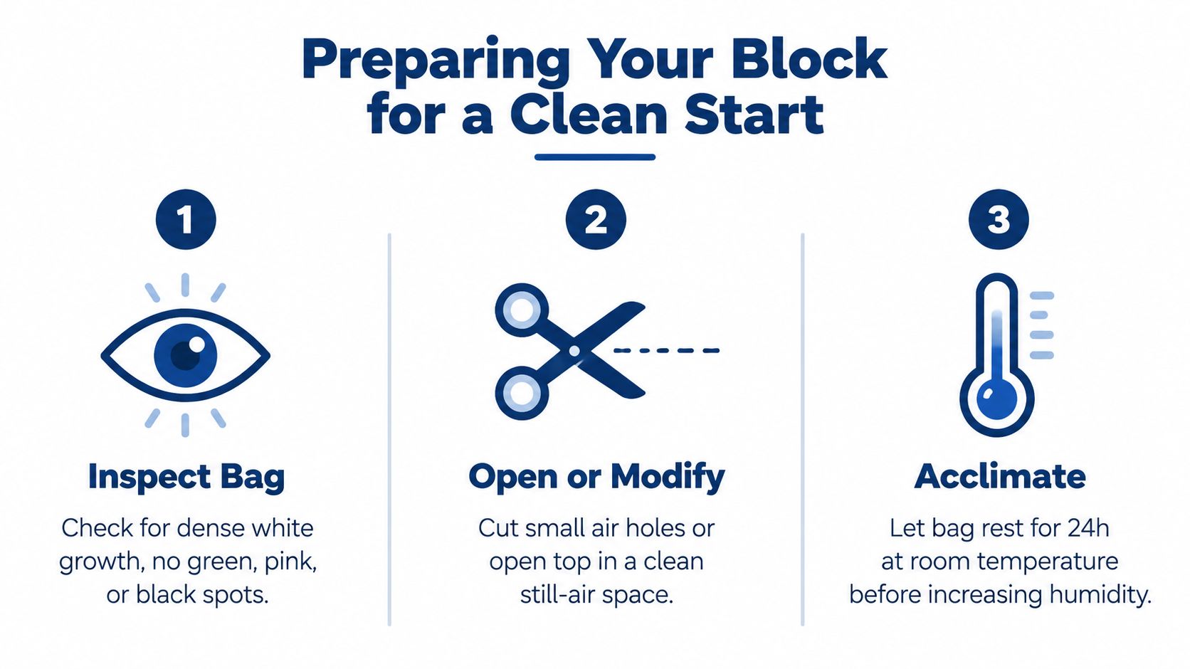 A three-step infographic titled Preparing Your Block for a Clean Start with icons for inspection, cutting, and acclimation.