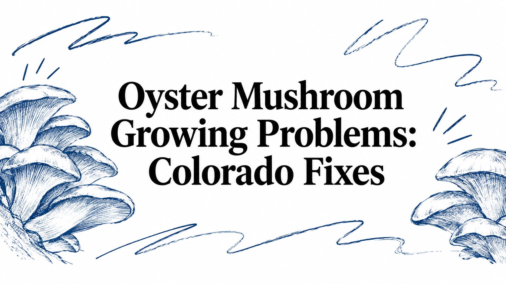Oyster Mushroom Growing Problems: Colorado Fixes
