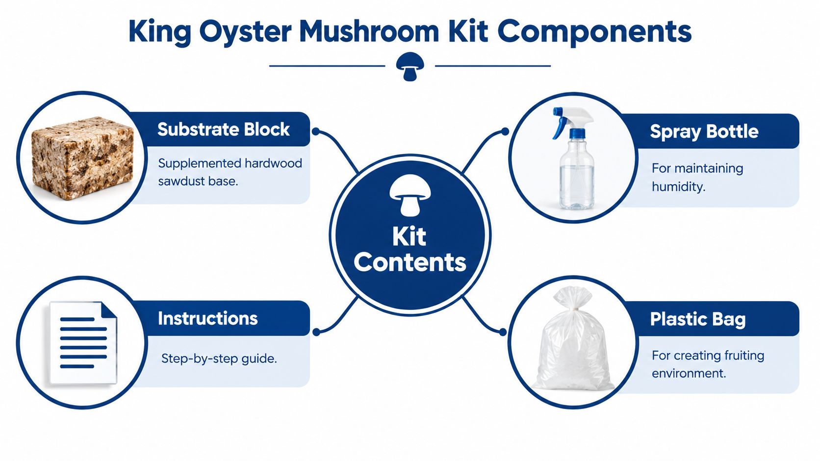 An infographic displays the four components included in a King Oyster Mushroom growing kit: substrate, spray bottle, instructions, and bag.