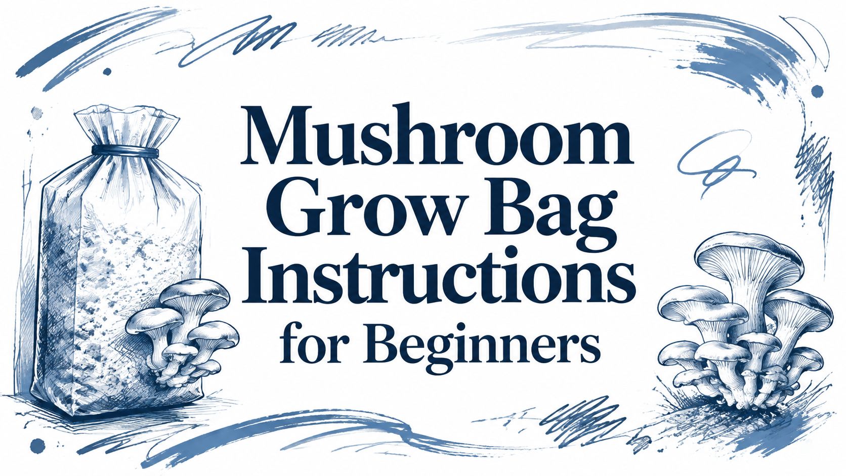 Mushroom Grow Bag Instructions for Beginners