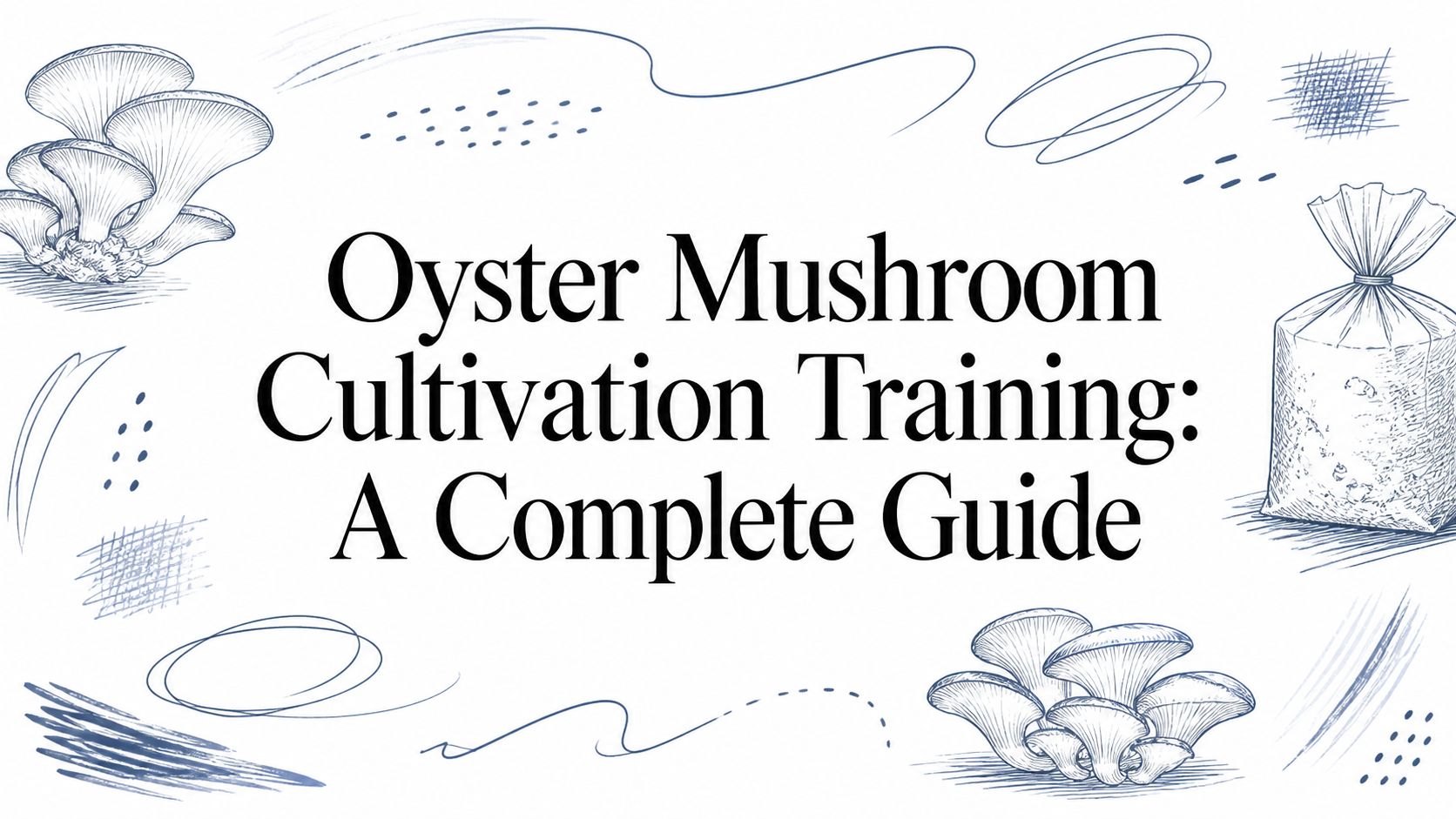 Oyster Mushroom Cultivation Training: A Complete Guide