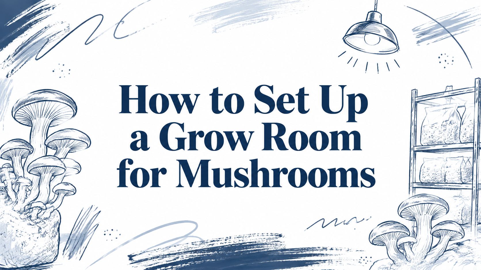How to Set Up a Grow Room for Mushrooms