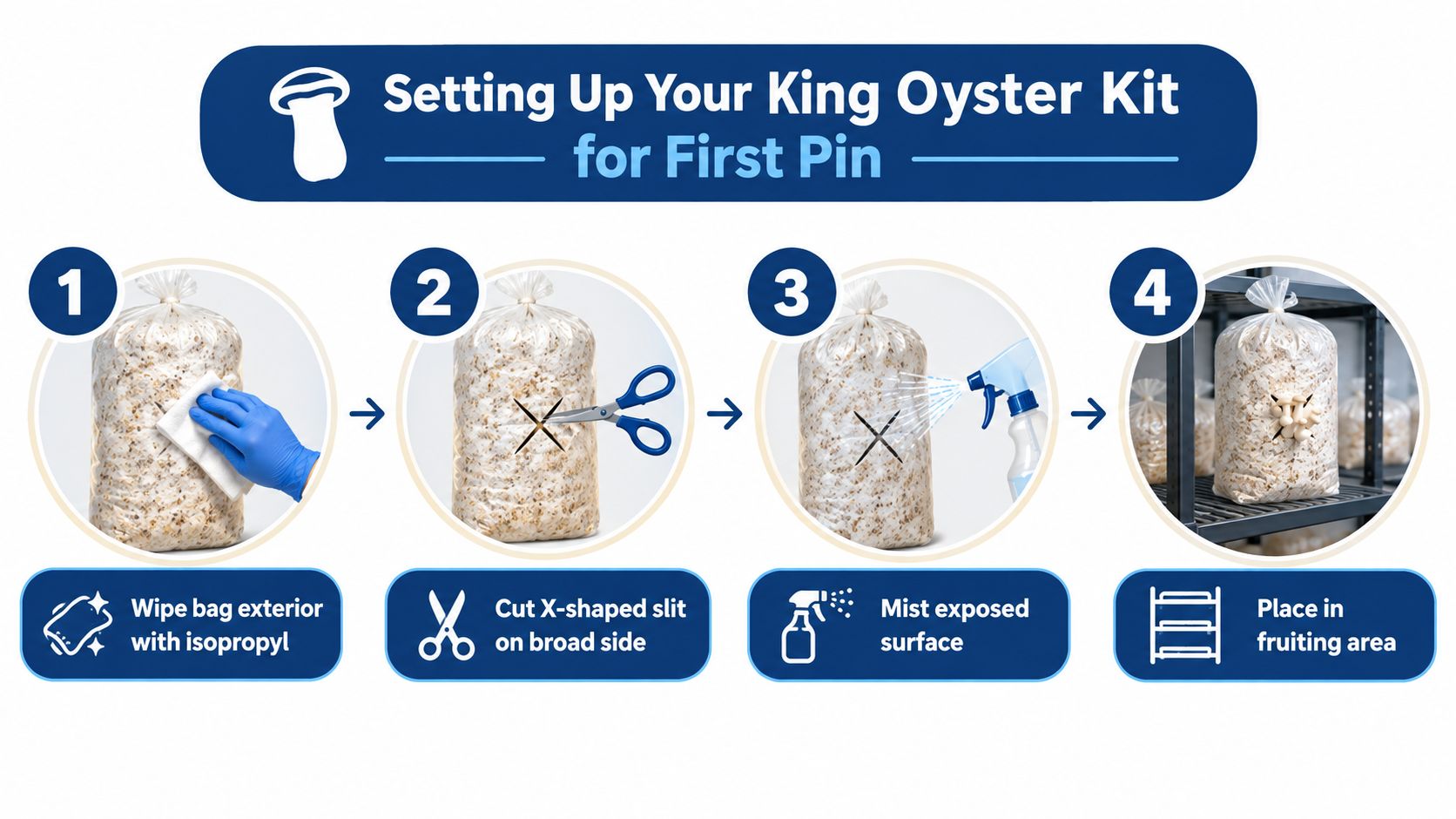 An infographic showing four steps to set up a King Oyster mushroom grow kit for first pins.