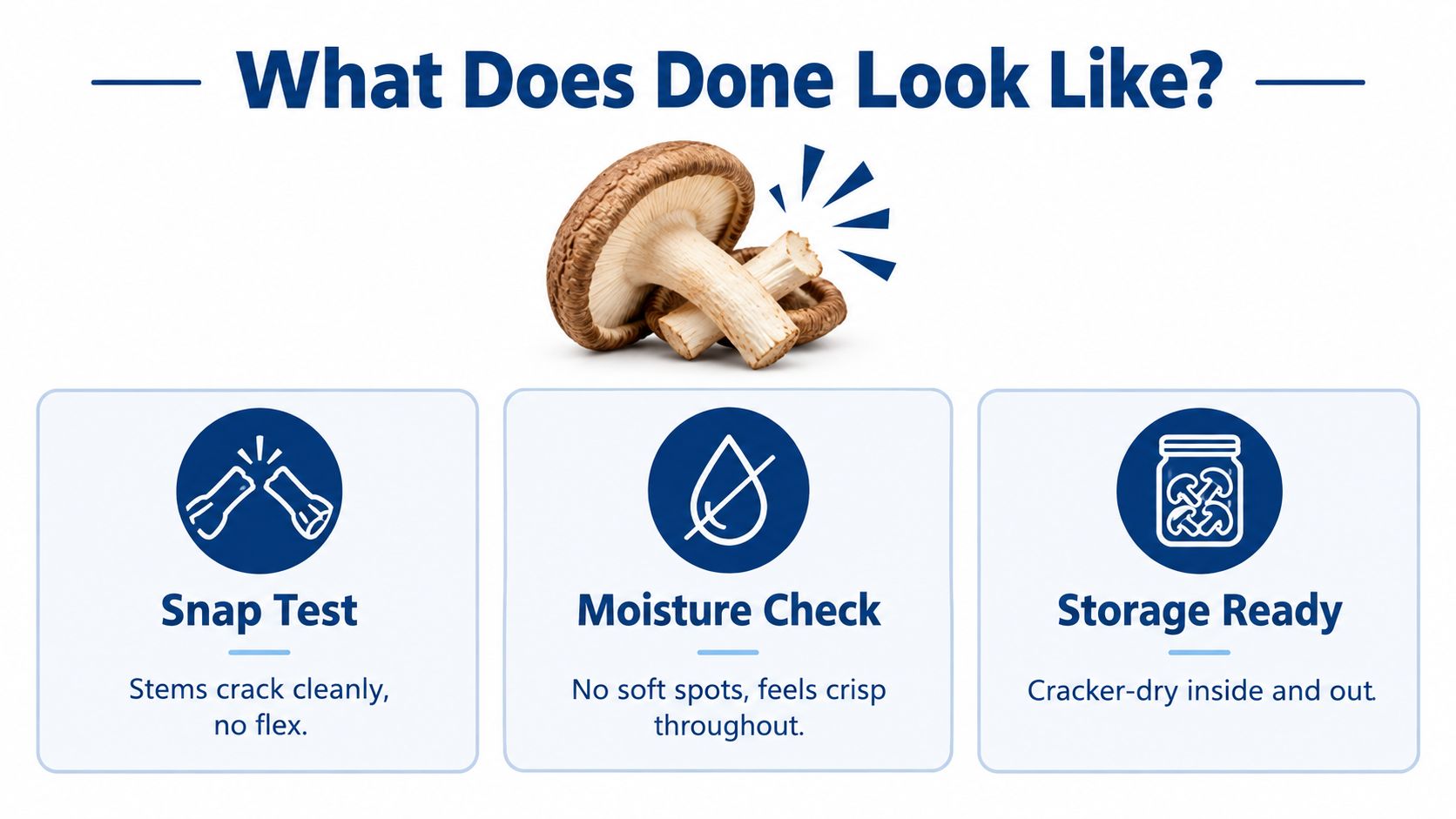 An educational infographic showing three steps to verify if mushrooms are properly dried: snap test, moisture check, and storage ready.