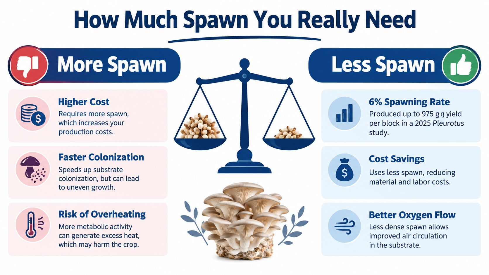 An infographic comparing the pros and cons of using more versus less mushroom spawn for cultivation.