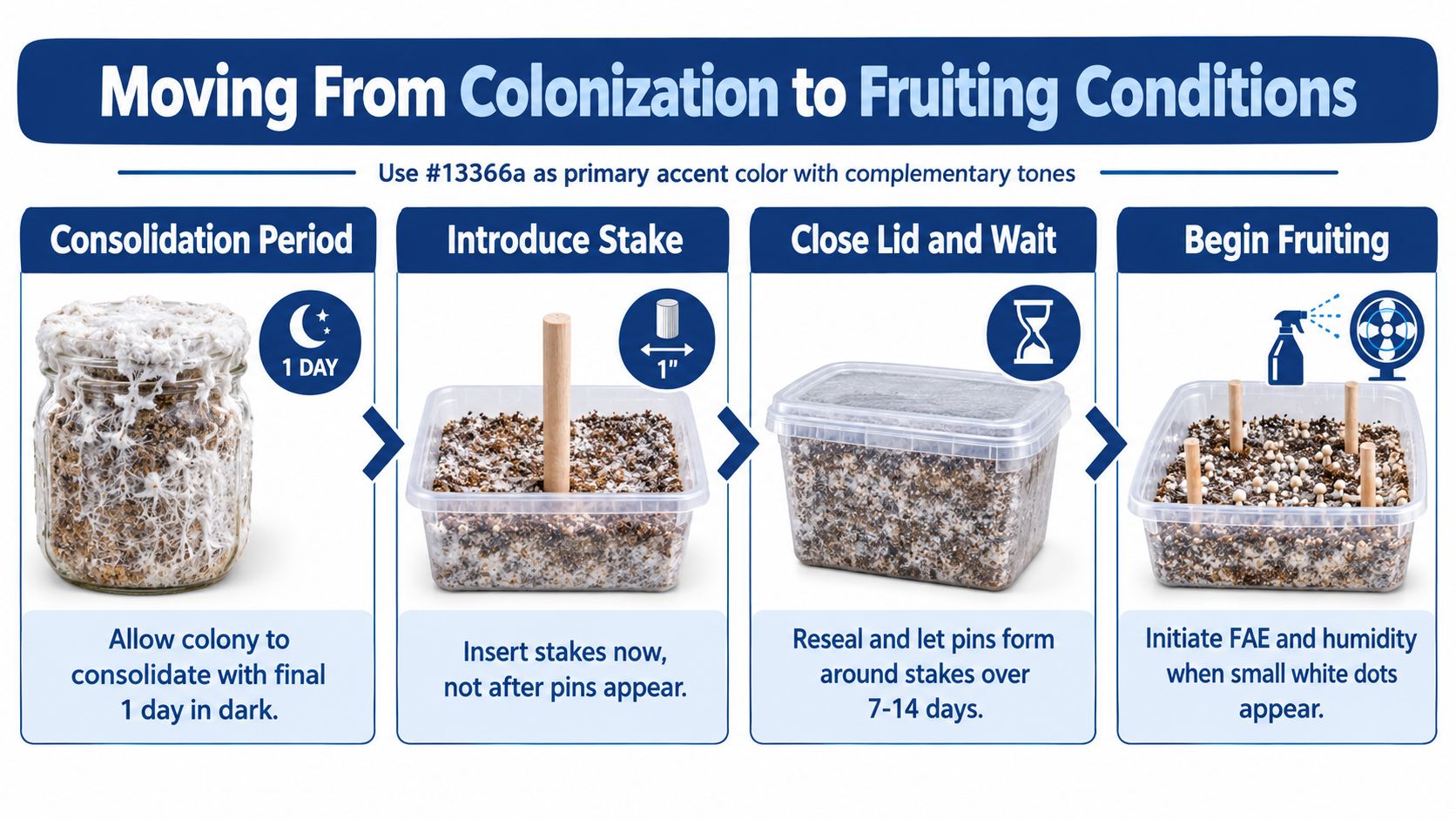 An infographic showing the four steps to move a fully colonized monotub into mushroom fruiting conditions.