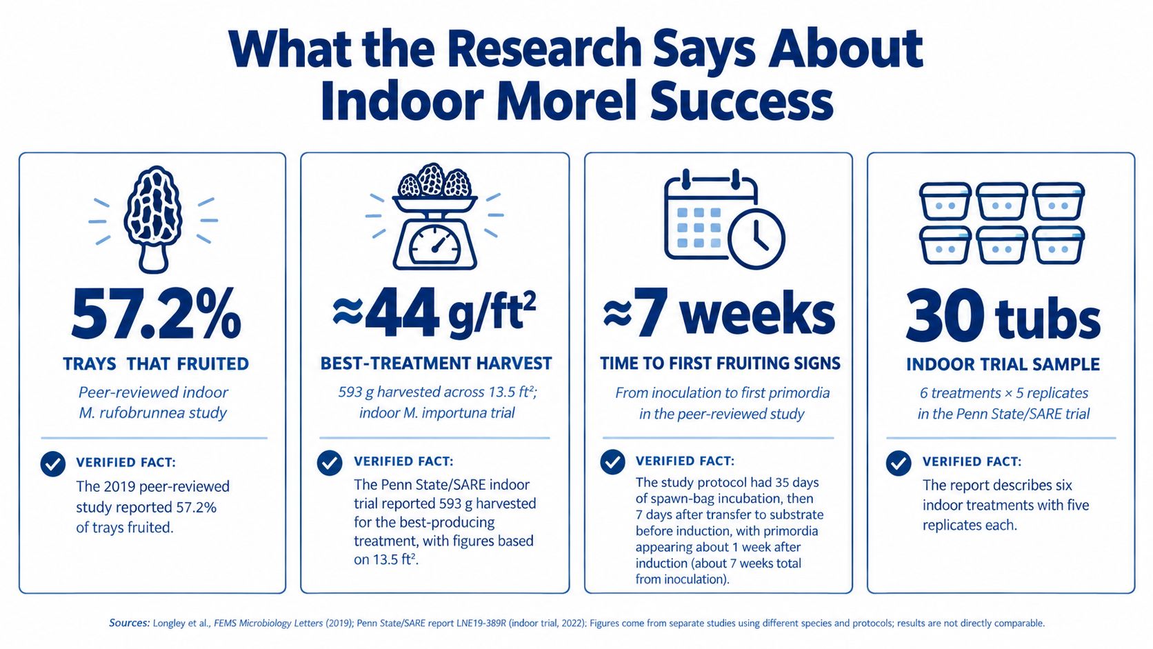 An infographic showing research statistics on indoor morel mushroom cultivation success rates and harvest timeframes.