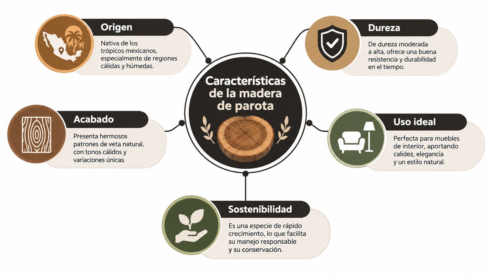 Infografía sobre las características de la madera de parota, incluyendo origen, dureza, acabado, sostenibilidad y uso ideal.